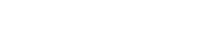 MDI - Logo - White-1